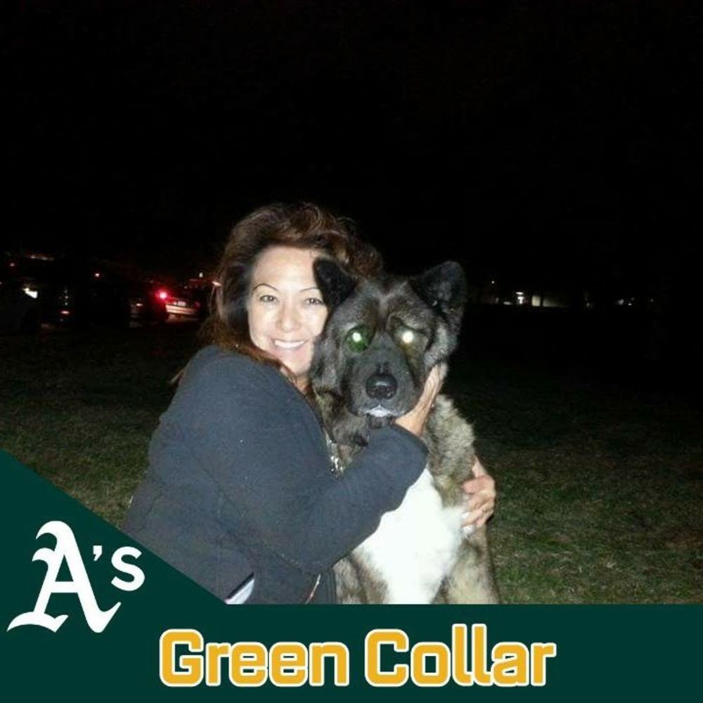 Meet your Posher, Alison